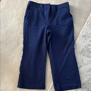 LOFT Dark Blue Trousers